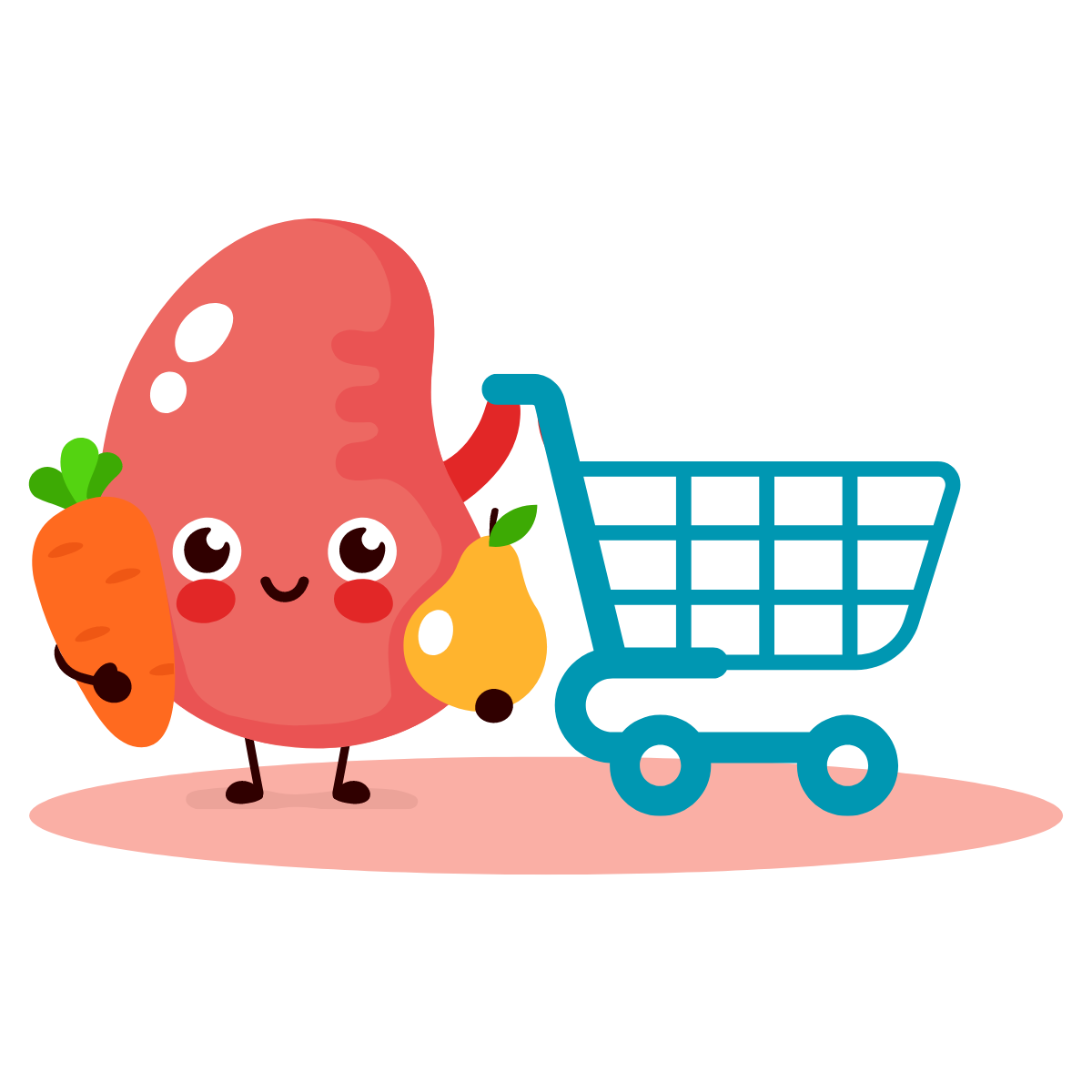 The Everyday Kidney Cook - an illustration of a cute kidney doing grocery shopping.