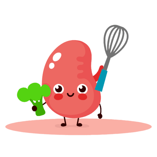 cropped kidney illustration.png