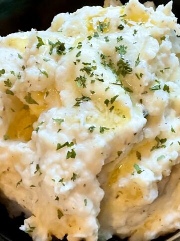 close up low sodium low potassium mashed potatoes